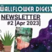 Newsletter #2: Easter Break! (Issue 2, April 2023)