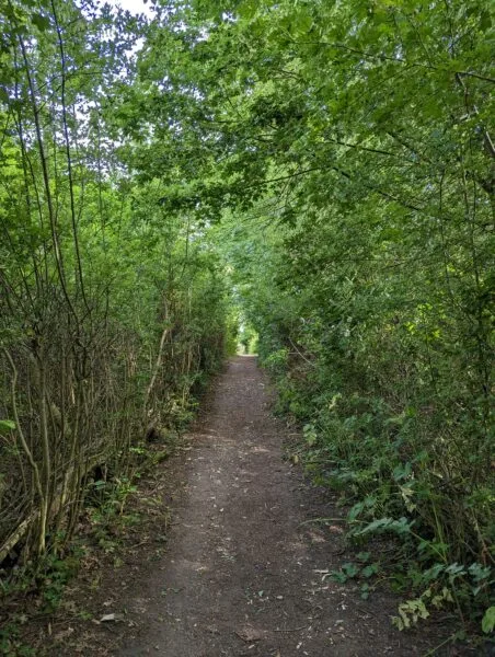 New paths unlocked