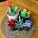 Potting up my Lego Succulents