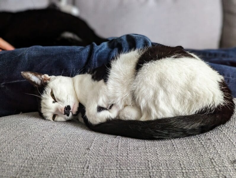 Has it only been seven days?