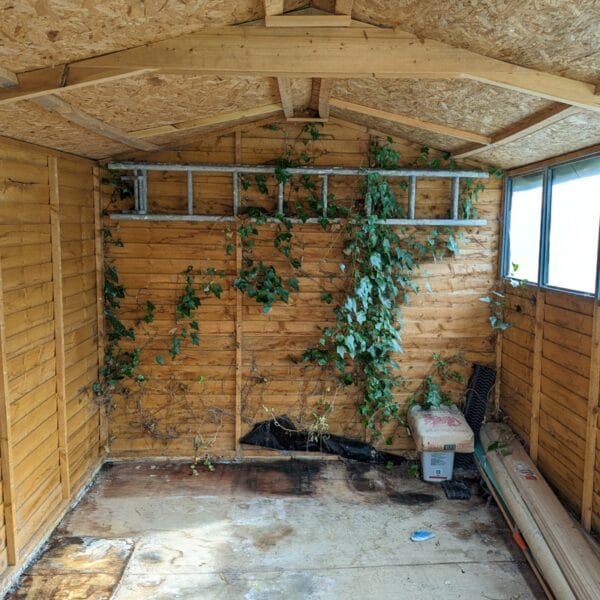 Newsletter #4 Mar 2024