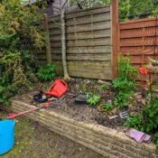 Garden #6